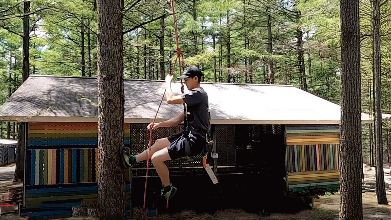 NM_treeing002.jpg