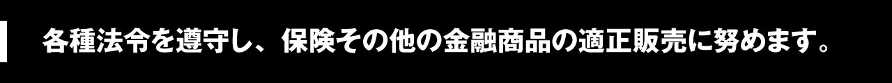 保険_小見出し_2.jpg